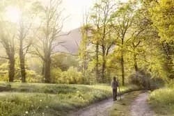 Wandern in der Natur Wandern in der Natur
