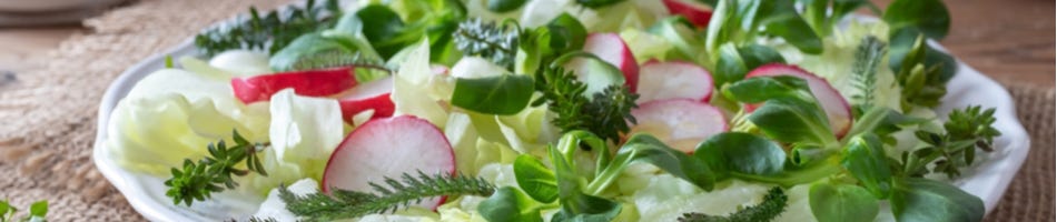 Salat mit Schafgarbe und Lungenkraut Salat mit Schafgarbe und Lungenkraut