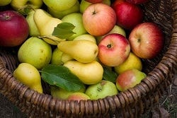 Korb mit frischem Obst Korb mit frischem Obst