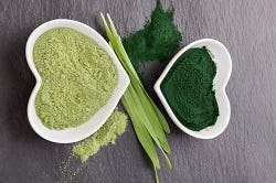 Spirulina- und Chlorellapulver Spirulina- und Chlorellapulver