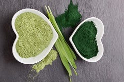 Spirulina- und Chlorellapulver