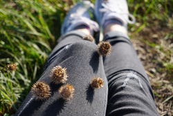 Hose mit Klette Hose mit Klette