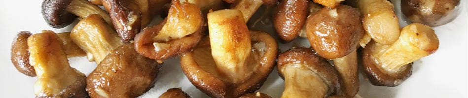 Kandierte Shiitake mit Honig und Sesam Kandierte Shiitake mit Honig und Sesam