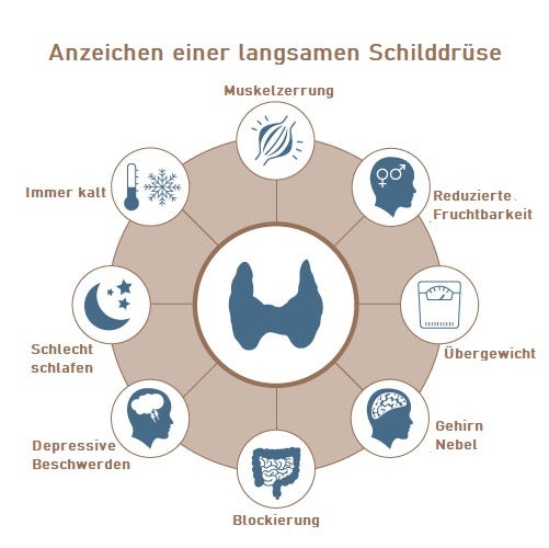 Anzeichen einer Schilddrüsenunterfunktion sind immer Erkältung, depressive Beschwerden, Muskelschmerzen, verminderte Fruchtbarkeit, Übergewicht, Hirnnebel, Verstopfung, schlechter Schlaf. Anzeichen einer Schilddrüsenunterfunktion sind immer Erkältung, depressive Beschwerden, Muskelschmerzen, verminderte Fruchtbarkeit, Übergewicht, Hirnnebel, Verstopfung, schlechter Schlaf.