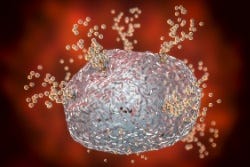 Histamin wird aus einer Mastzelle freigesetzt Histamin wird aus einer Mastzelle freigesetzt