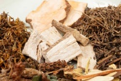 Formel mit getrockneter Poria cocos Formel mit getrockneter Poria cocos