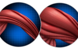 Ein schwacher Muskel im Vergleich zu einem starken Muskel