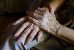 Alte Hasen Alte Hasen