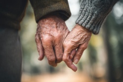 Alte H&auml;nde: Hand in Hand