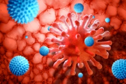 Gesundes Immunsystem Gesundes Immunsystem