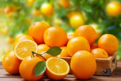 Gro&szlig;e Orangensammlung