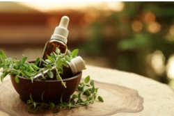 Kleine Fl&auml;schchen Oregano&ouml;l, umgeben von Oregano