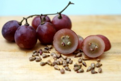 Rote Trauben mit Kernen Rote Trauben mit Kernen
