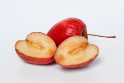 Der Apfel, der braun wird, oxidiert also. Der Apfel, der braun wird, oxidiert also.