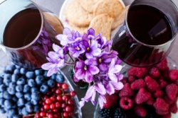 Quellen für OPCs: Rotwein, schwarze Johannisbeeren, Himbeeren Quellen für OPCs: Rotwein, schwarze Johannisbeeren, Himbeeren