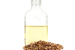 Eine Flasche Traubenkernöl mit losen Samen Eine Flasche Traubenkernöl mit losen Samen