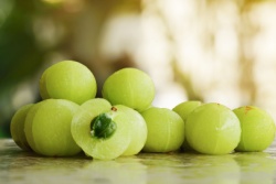 Amla-Früchte Amla-Früchte