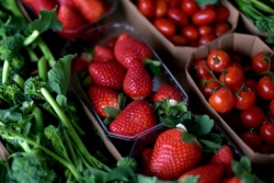 Schüsseln mit Erdbeeren und Tomaten Schüsseln mit Erdbeeren und Tomaten