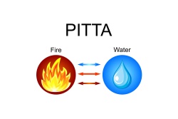 Bild von Pitta Bild von Pitta