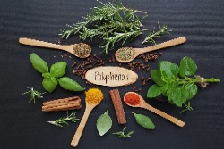 Pflanzliche Substanzen mit Polyphenolen