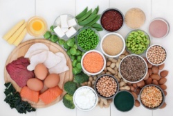 Proteinreiche Lebensmittel Proteinreiche Lebensmittel