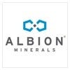 Logo Albion