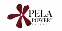 Logo Pelapower