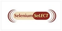 Logo selenium select