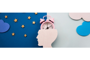 Das Konzept der biologischen Uhr