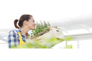 Frau riecht ein Bündel Oregano