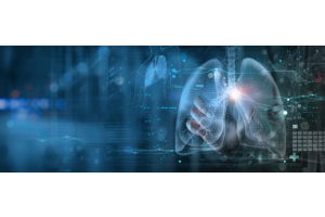 Die menschlichen Lungen