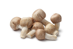 Agaricus Blazei Murill