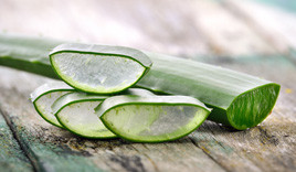 Aloe vera