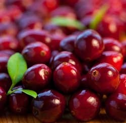 Wildes Cranberry Pulver Premium