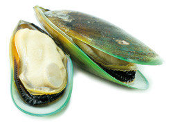 Grünlippmuschelextrakt