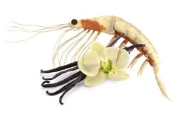 Krillöl mit Vanillegeschmack