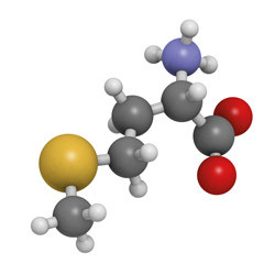 L-Methionin