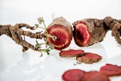 Pelargonium sidoides