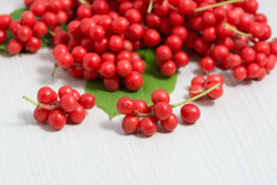 Schisandra-Beere