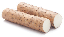 Wild Yam
