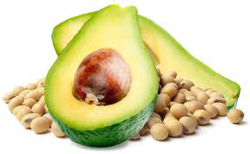 Avocado-Sojabohnenextrakt