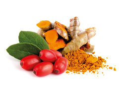 Berberin & Curcumin