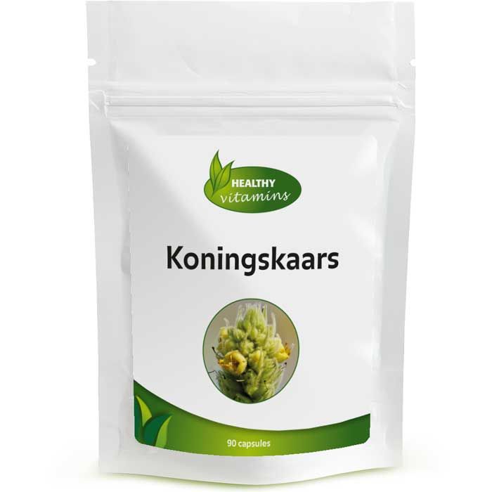 Königskerze