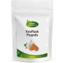 Knoflook Propolis