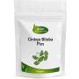 Ginkgo Biloba Plus