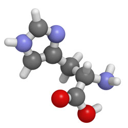 L-Histidin