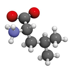 L-Leucin