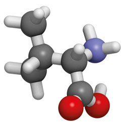 L-Valin