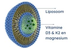 Liposomales Vitamin D3 & K2 Magnesium