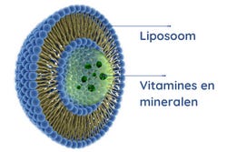 Liposomales Multivitamin